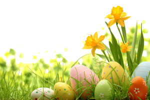 Easter-eggs-hiding-in-the-gras-42440701